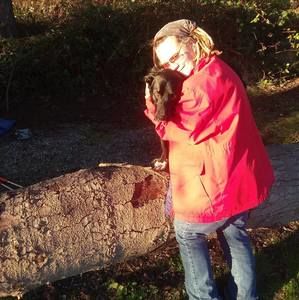 Meet your Posher, Anne